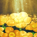 notinaworldwithoutyou avatar