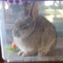 notivated-blog avatar