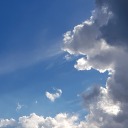 notjustcookies avatar