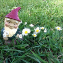 notlostgnome avatar