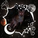 notmeant-tobeseen avatar