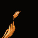 notmynostalgia avatar