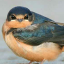 notmyproblemjustsaying avatar