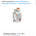 notnateortimdrake avatar