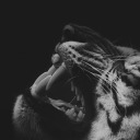 notondrugs420 avatar