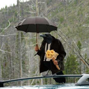 notoscarwilde avatar