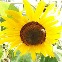 notquitethatordinary avatar