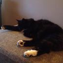 notreallybusy avatar