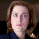 notscully avatar