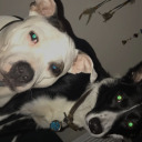 notsofluffyunicorn avatar