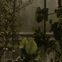 notsofunnygoat avatar