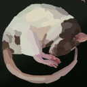 notsosincerelyfox avatar