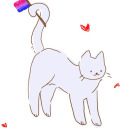 notsosurewhatmynameis avatar