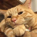 notspecialbutinteresting avatar