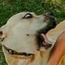 notsurehowifeel avatar