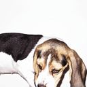 notsureyet100 avatar