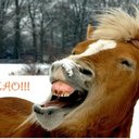 notthatbitchy avatar