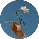 notthatchhavi avatar