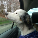 nottodayandnottomorrow avatar