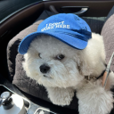 nottodayyyyyy avatar