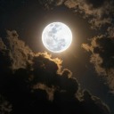 noturnasposts avatar