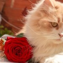 notyouraveragejulie avatar