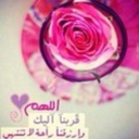 noura15me avatar