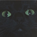 novaorb avatar