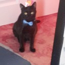 novatheknight avatar