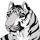 novatiger avatar