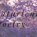 novaturientpoetry avatar