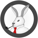 novelbunny avatar