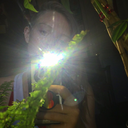 november-32nd avatar