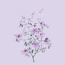 novemberbells avatar