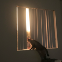 novemberblackburn avatar