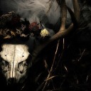 novembermourning avatar