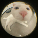 novembersavior avatar