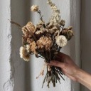 novembroalways avatar