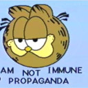 noviestansuini avatar