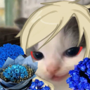 novinight-pjo avatar