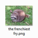 novocaineandroses avatar