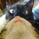 now-but-not-yet avatar