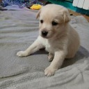 nowe-zycie-jest-moje avatar