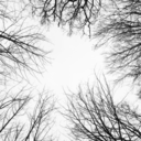 nowhere-nobody-noone avatar