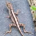 nowheretobefoun avatar