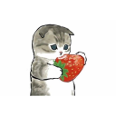 nox-in-a-box-1316 avatar