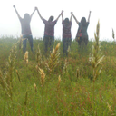 noxunicorn140 avatar