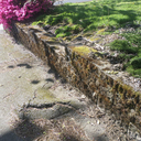 noyesterdaysontheroad avatar