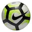 nozakura-tanuki avatar