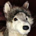 npd-nice-person-disorder avatar